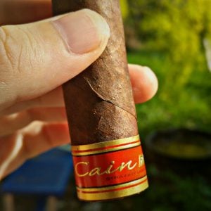 Cain Nub 460 Nub F Straight Ligero Sungrown Nicaragua | Zigarren Verkostung