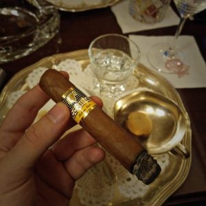 Cohiba Robusto im Tubo | Zigarren Verkostung